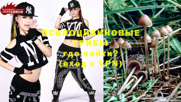 шишки Дрезна