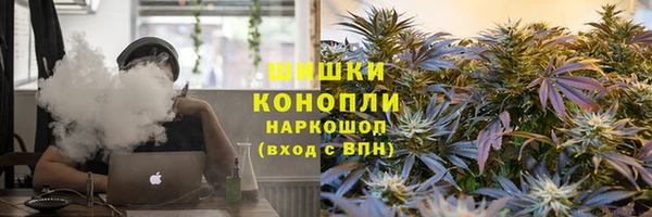 СК Белокуриха
