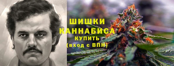 СК Белокуриха