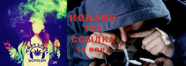 гидропоника Дегтярск