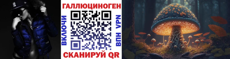 мориарти клад  как найти наркотики  ОМГ ОМГ маркетплейс  Малая Вишера  Псилоцибиновые грибы мухоморы 
